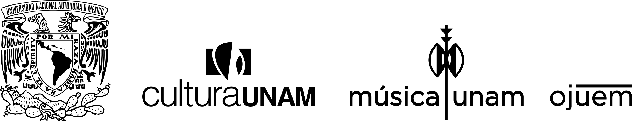 Cintillo OJUEM (1)