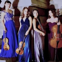 ivani quartet